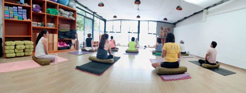 Yoga Teacher Training